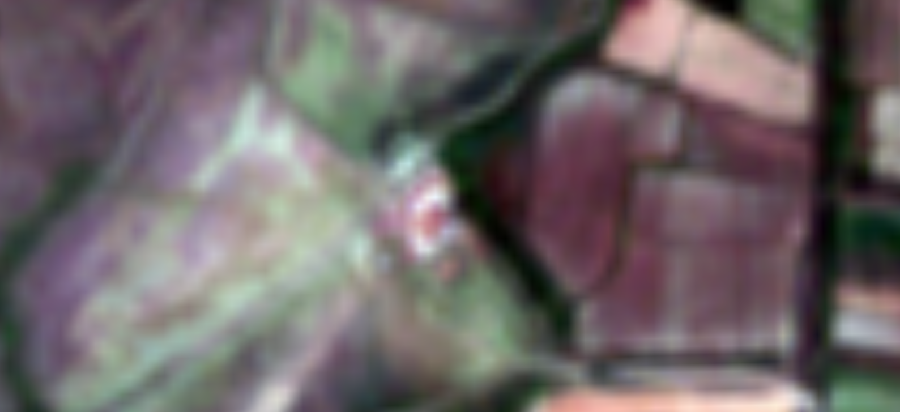 Sentinel-2 10 m